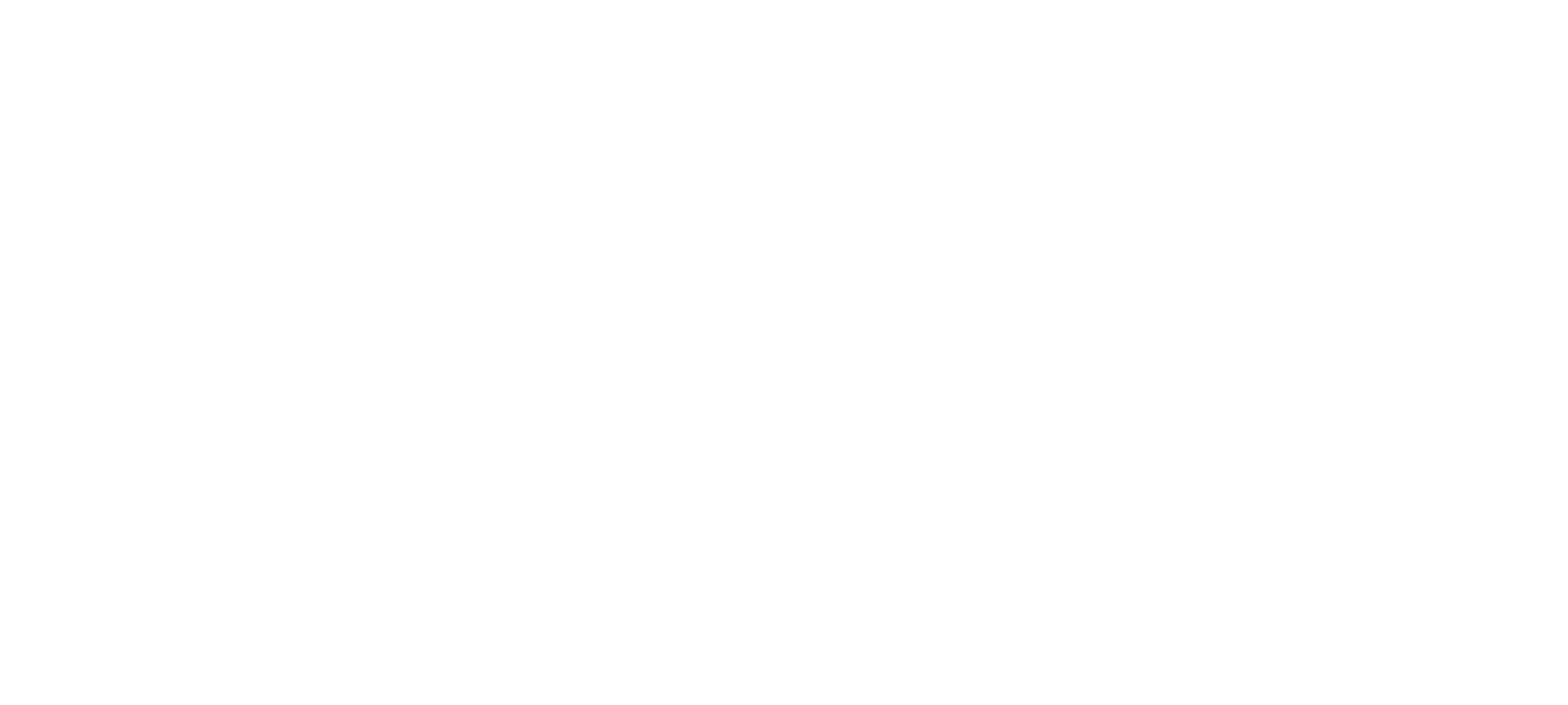 ELSIE